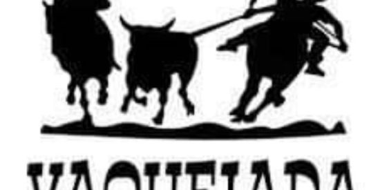 Imagem do grupo de WhatsApp Vaquejada💖🐎