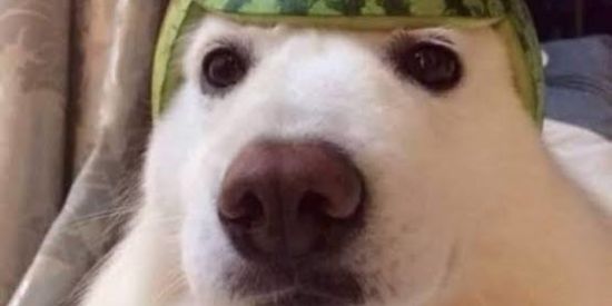 Imagem do grupo de WhatsApp FᗅC₡Ã❍ ZႮEiRᗅ🤡👌🏼【❍₣₡】