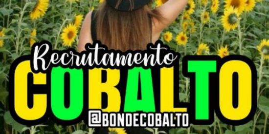 Imagem do grupo de WhatsApp Regrutamento🙃🥳