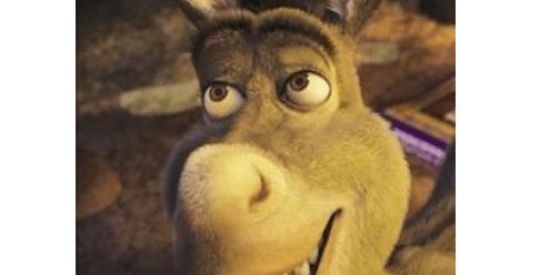 Imagem do grupo de WhatsApp Enquetes Instagram