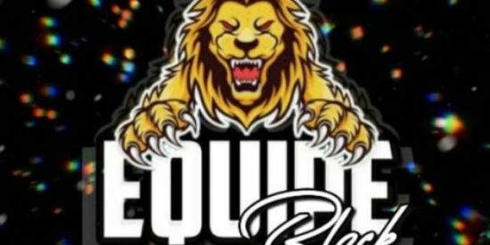 Imagem do grupo de WhatsApp RECRUTAMENTO GKS STEFANY🦚