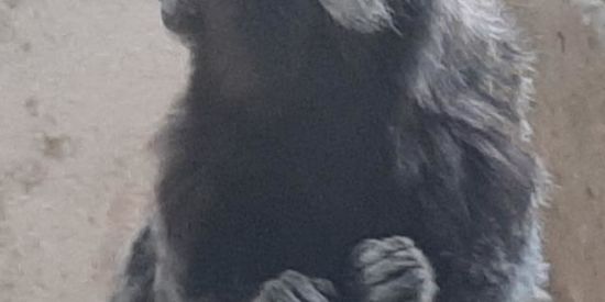 Imagem do grupo de WhatsApp 50 MEMBROS🥳