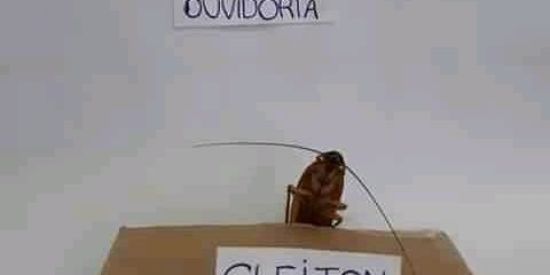 Imagem do grupo de WhatsApp WIꓵÒⱯOs Oꓷ OƆƎꓕOꓭ