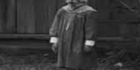 Imagem do grupo de WhatsApp N.N.N - SHITPOSTERS 😈