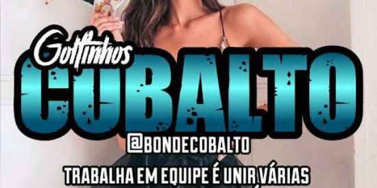 Imagem do grupo de WhatsApp 🐬 Sєɠui∂σяєร Gσlƒเɳɦσร 🐬