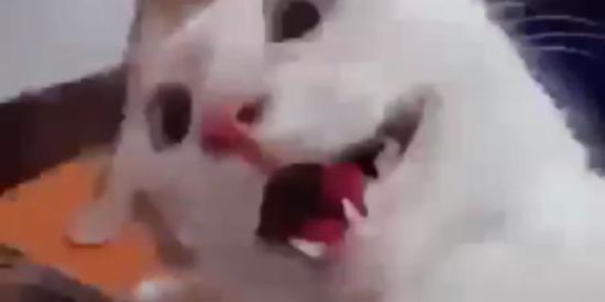 Imagem do grupo de WhatsApp Grupo atoa🤠🤡🥳