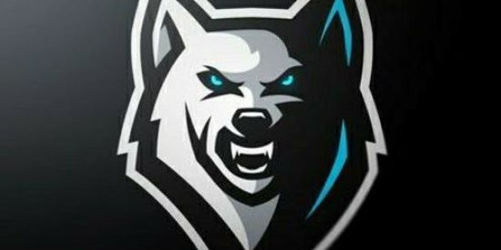 Imagem do grupo de WhatsApp P   STONE