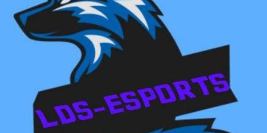 Imagem do grupo de WhatsApp LDS-ESPORTS RECRUTAMENTO🤑