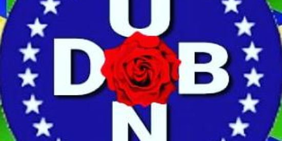 Imagem do grupo de WhatsApp UNDB 🇧🇷🌹Unidade Nacional