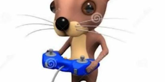 Imagem do grupo de WhatsApp #QuarentenaBraba