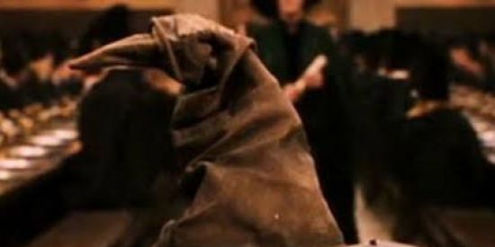 Imagem do grupo de WhatsApp 🦡🦅 CHAPÉU SELETOR 🦁🐍