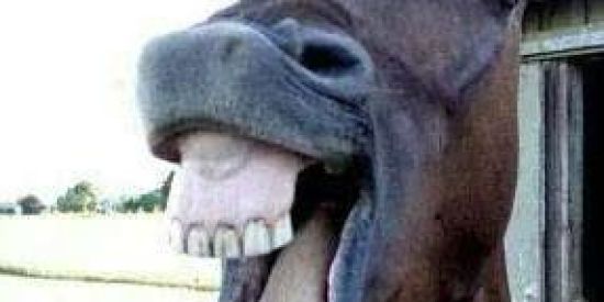 Imagem do grupo de WhatsApp Armário