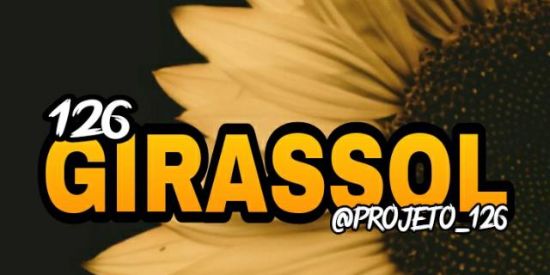 Imagem do grupo de WhatsApp 0.2 126|🌻girαssσl🌻