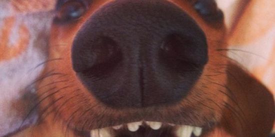 Imagem do grupo de WhatsApp Guerra dos stikers 2