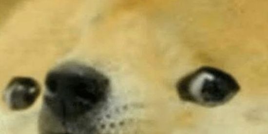 Imagem do grupo de WhatsApp TROPA ANTI "FOGAREU"🔪🗡️😎