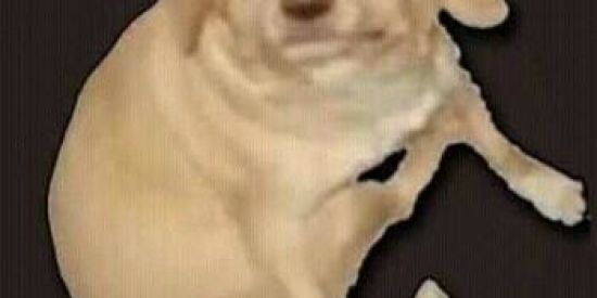 Imagem do grupo de WhatsApp ALEATORIAMENTE🤪