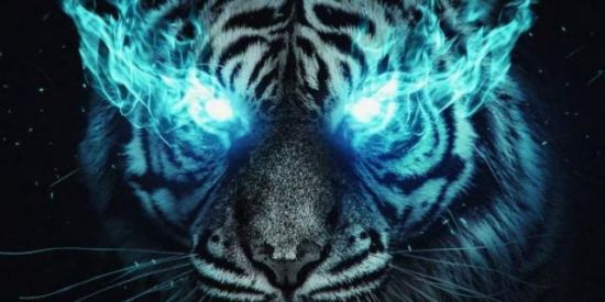 Imagem do grupo de WhatsApp Recrutar membros