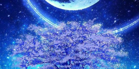 Imagem do grupo de WhatsApp 💫彡մղíѵҽɾsօ թαɾαlҽlօ 0.2彡💫