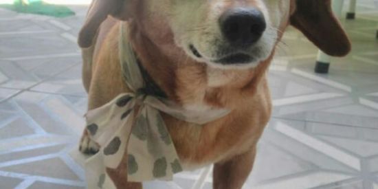 Imagem do grupo de WhatsApp ★彡 匚卄丨ㄒ卩ㄖ丂ㄒ 彡★