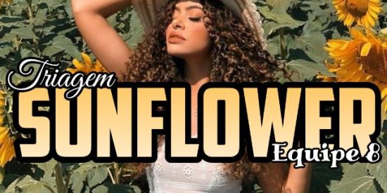 Imagem do grupo de WhatsApp 🌻TRIAGEM SUNFLOWER🌻