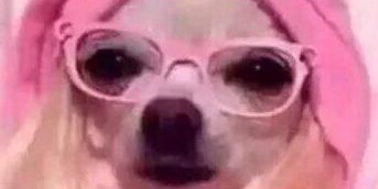 Imagem do grupo de WhatsApp Dark Patricinhas 💅💅