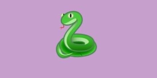 Imagem do grupo de WhatsApp 🐍RECRUTAMENTO BONDE TIS🐍