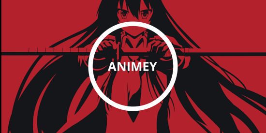 Imagem do grupo de WhatsApp ANIMEY