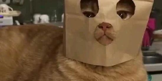 Imagem do grupo de WhatsApp Grupo de humor, figurinha