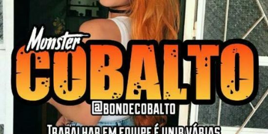 Imagem do grupo de WhatsApp Recrutamento Cobalto 🦊