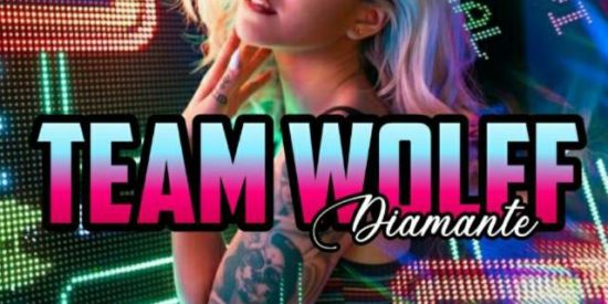 Imagem do grupo de WhatsApp Como crescer no insta 🐺