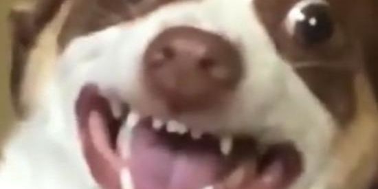 Imagem do grupo de WhatsApp 👑Império Discord👑