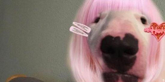 Imagem do grupo de WhatsApp 🔥፝⃟꙳⸼Ɗ玄Ʋ令么 ᎮƲƊƚᎷ⸼꙳🌹፝⃟༘┼