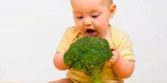 Imagem do grupo de WhatsApp Introdução Alimentar 👶🏻🥦🍉