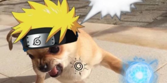 Imagem do grupo de WhatsApp [NRPG] 🦊BROTA, RECRUTA!🍃