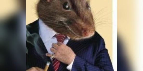 Imagem do grupo de WhatsApp Bando de ratazana 🔎