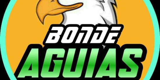 Imagem do grupo de WhatsApp ʀᴇᴄʀᴜᴛᴀᴍᴇɴᴛᴏ ᴀ́ɢᴜɪᴀs 🦅