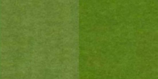 Imagem do grupo de WhatsApp Divulgaçao de Canal