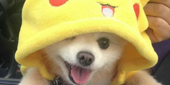 Imagem do grupo de WhatsApp Conversa de doidos!🤣🤪😁