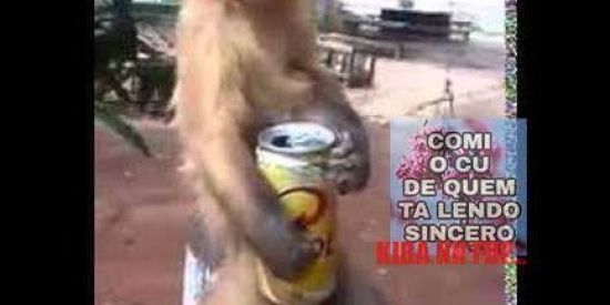 Imagem do grupo de WhatsApp ꧁༒β€ک† کЋเ†РØک†🇬🇮༒꧂