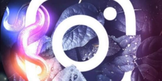 Imagem do grupo de WhatsApp ♛ᏆΝҒᏞႮᎬΝᏟᏆᎪᎠΘᎡᎬՏ♛⓶||GANHAR SEGUIDORES DE GRAÇA!!!