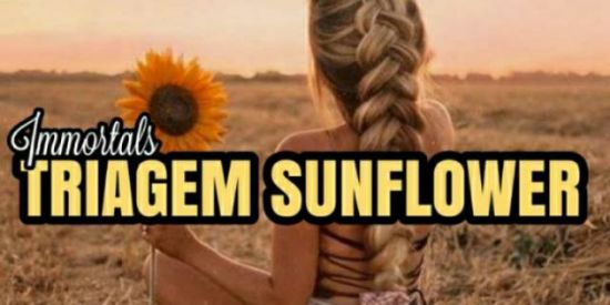 Imagem do grupo de WhatsApp 9🌻RECRUTAMENTO/TRIAGEM ▪Ti'ร▪
