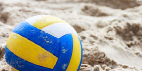 Imagem do grupo de WhatsApp Grupo 013 Volei!