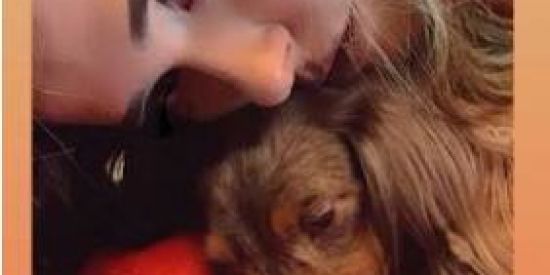 Imagem do grupo de WhatsApp Te amamos Milk e fanBABE