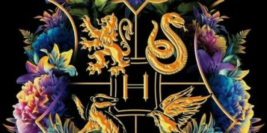 Imagem do grupo de WhatsApp Hogwarts