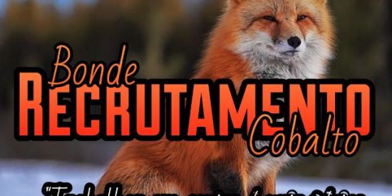 Imagem do grupo de WhatsApp 🦊Recrutamento Cbs🦊