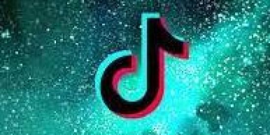 Imagem do grupo de WhatsApp 🍟「 ᴛɪᴋ ᴛᴏᴋᴇʀs 」🍟