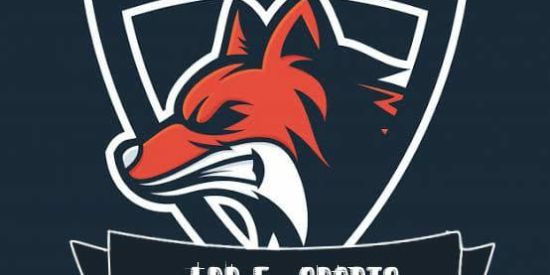 Imagem do grupo de WhatsApp LDR E-SPORT