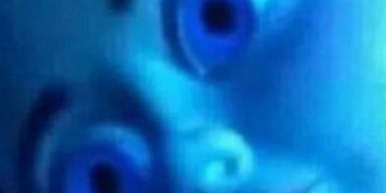 Imagem do grupo de WhatsApp MEMES DA VIDA