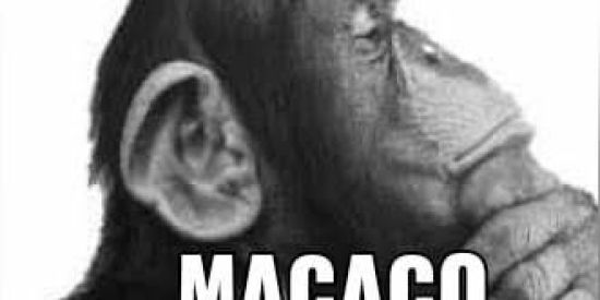 Imagem do grupo de WhatsApp Shit da zuera😳