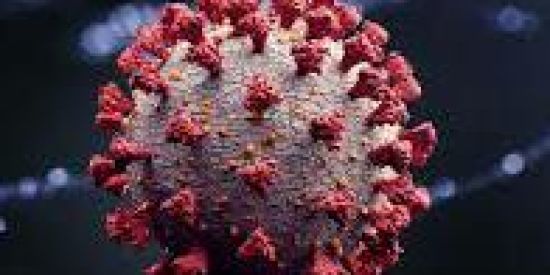 Imagem do grupo de WhatsApp Pandemia💥Global-🃏🌍☄️🔥